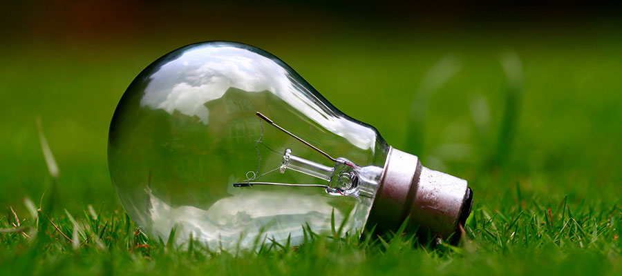 Lampadina spenta appoggiata su un prato verde